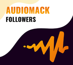 1000 Audiomack Followers