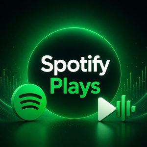 Buy 10k Platinum Spotify Plays